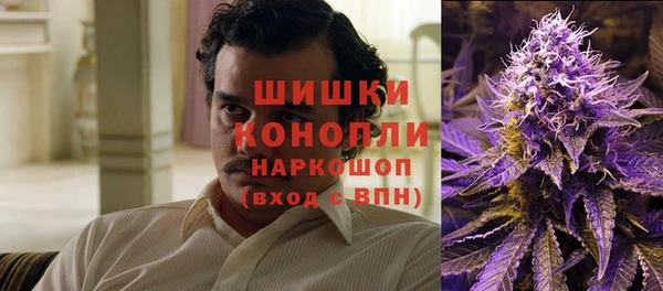 Альфа ПВП Корсаков