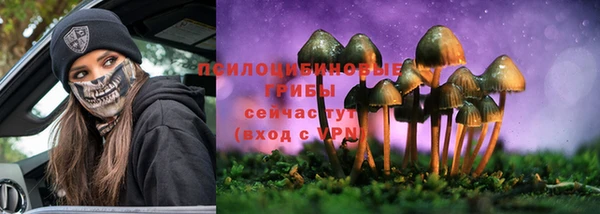 ПСИЛОЦИБИНОВЫЕ ГРИБЫ Кодинск
