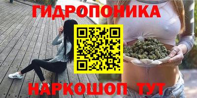 Альфа ПВП Нягань