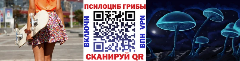 Галлюциногенные грибы GOLDEN TEACHER  darknet телеграм  Киржач 